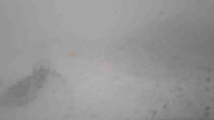 Whakapapa: Happy valley (mtruapehu.com)