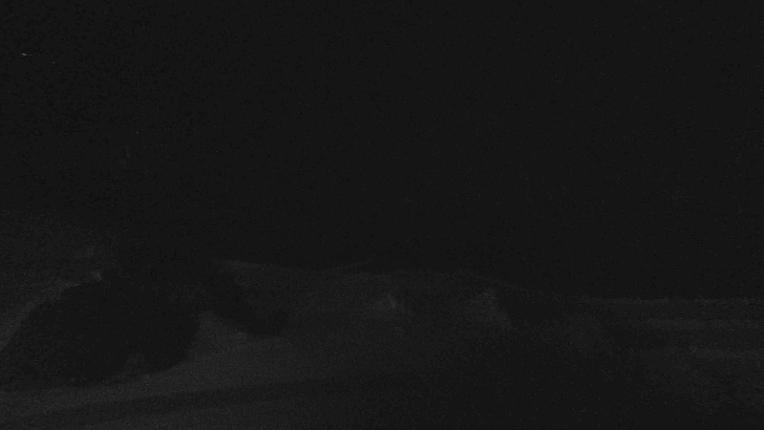 Webcam Whakapapa: Happy valley