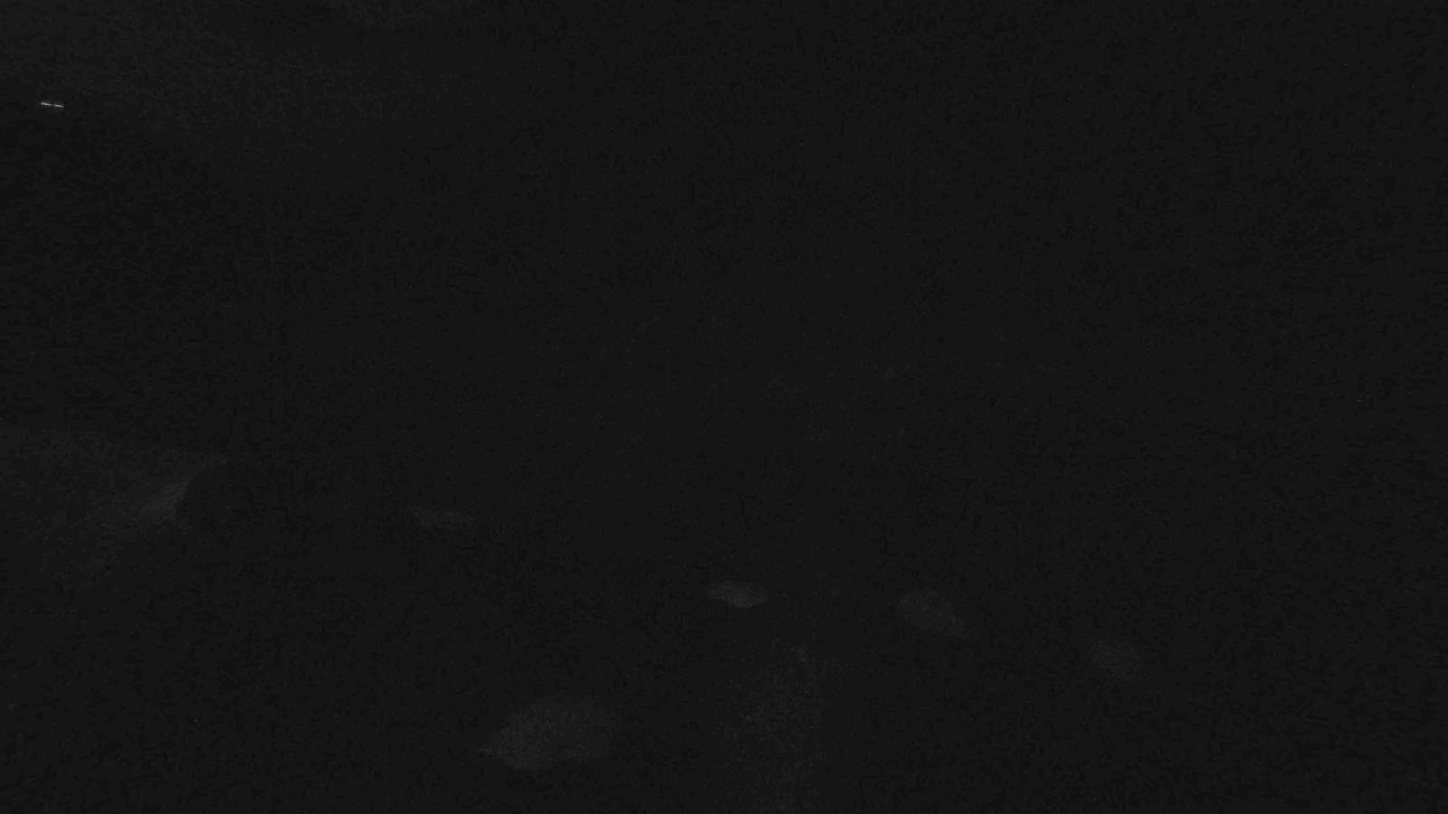 Webcam Whakapapa: Happy valley