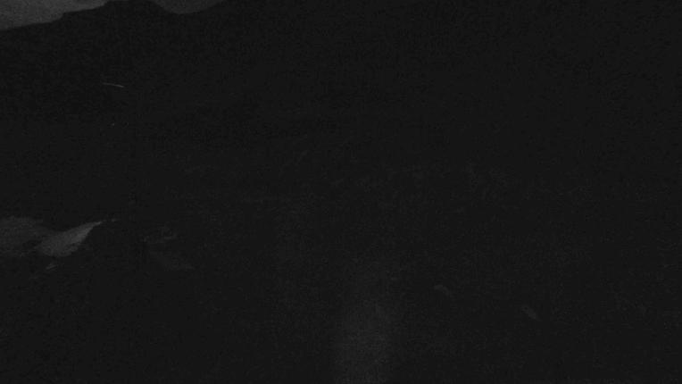 Webcam Whakapapa: Happy valley