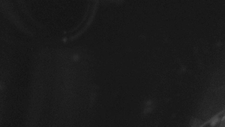 Webcam Whakapapa: Happy valley