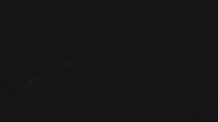 Whakapapa: Happy valley (mtruapehu.com)