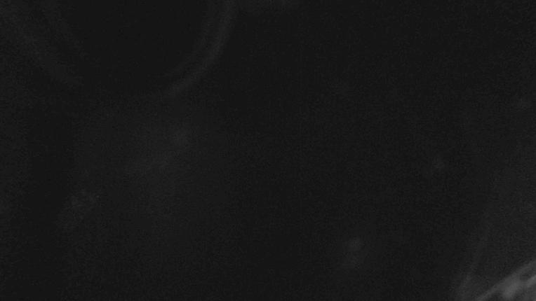 Webcam Whakapapa: Happy valley