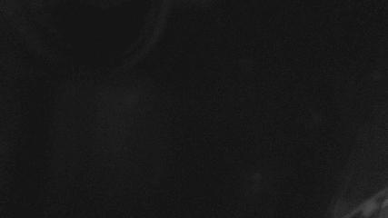 Whakapapa: Happy valley (mtruapehu.com)