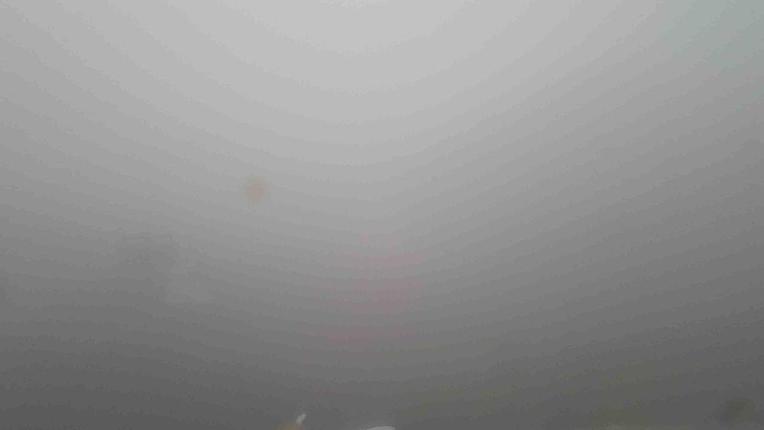 Webcam Whakapapa: Happy valley