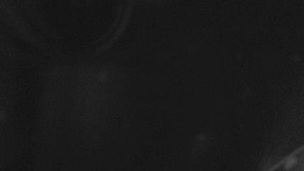 Whakapapa: Happy valley (mtruapehu.com)