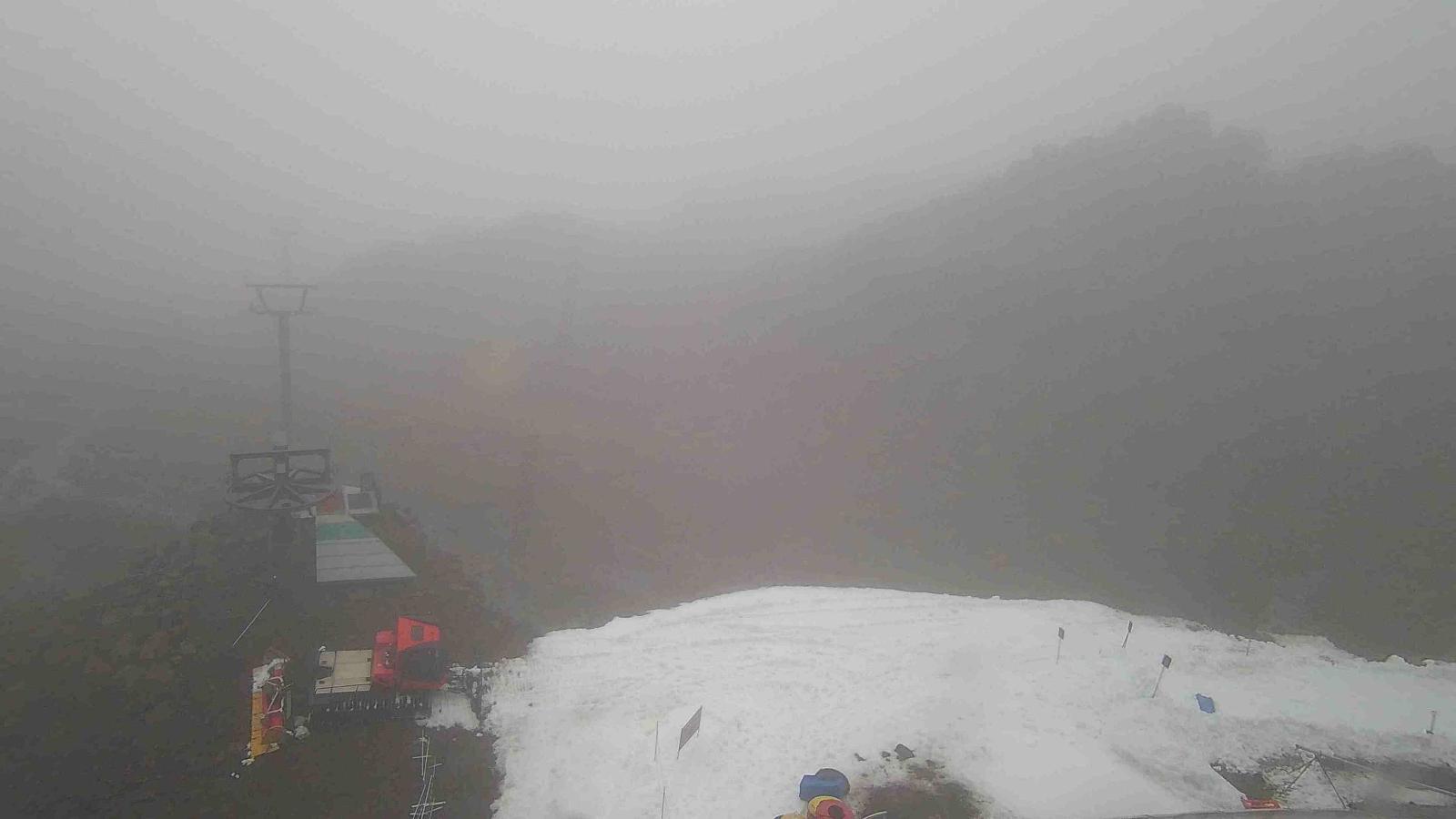 Webcam Whakapapa: Happy valley