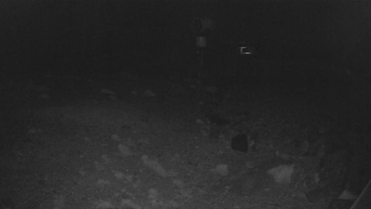 Webcam Whakapapa: Hut Flat