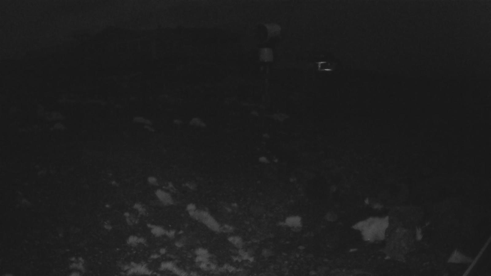 Webcam Whakapapa: Hut Flat