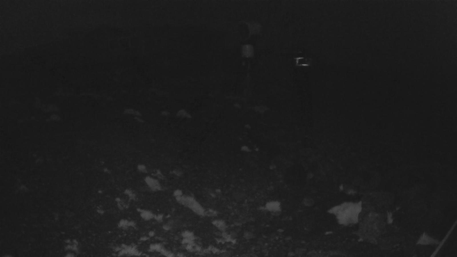 Webcam Whakapapa: Hut Flat