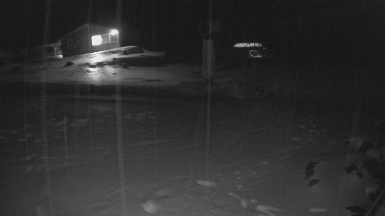 Webcam Whakapapa: Hut Flat
