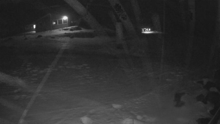 Webcam Whakapapa: Hut Flat