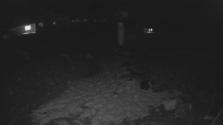 Webcam Whakapapa: Hut Flat