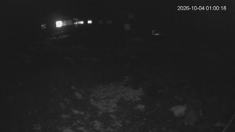 Webcam Whakapapa: Hut Flat
