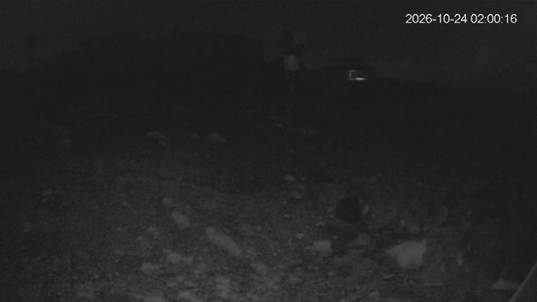 Webcam Whakapapa: Hut Flat