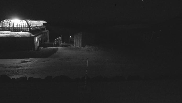 Webcam Whakapapa: Sky Waka and Knoll Ridge Cafe
