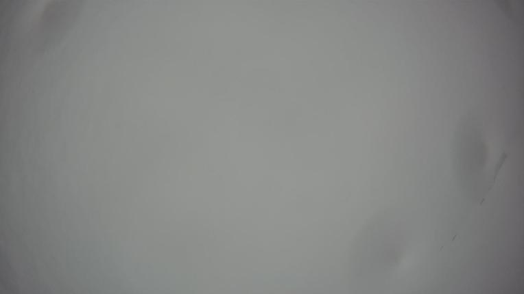 Webcam Whakapapa: Te heu heu valley