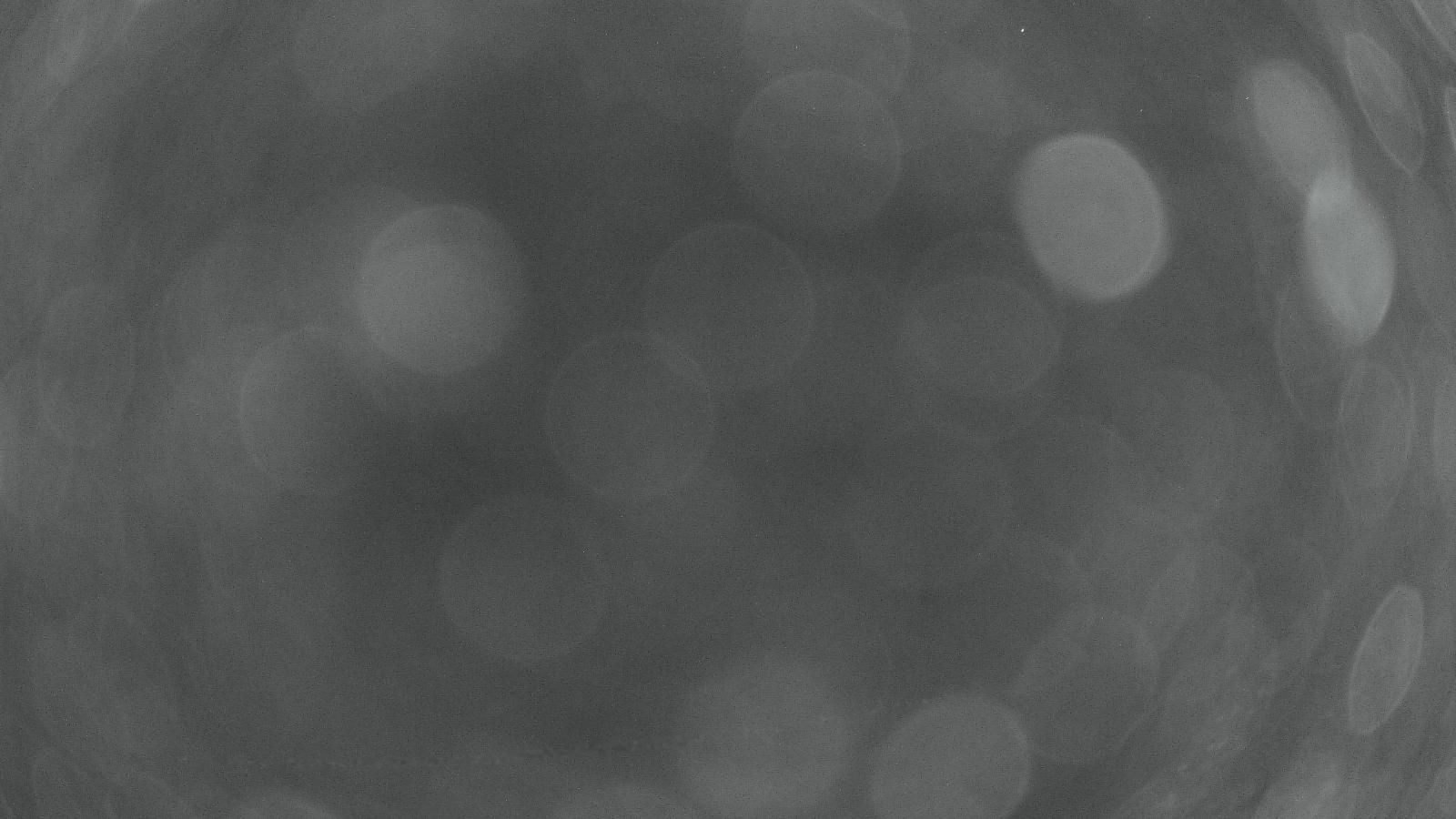 Webcam Whakapapa: Te heu heu valley