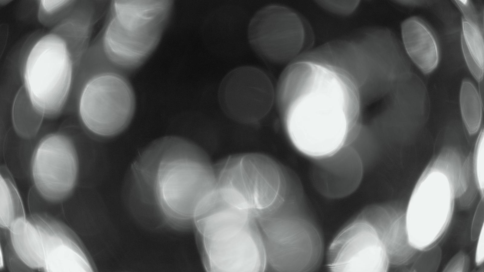 Webcam Whakapapa: Te heu heu valley