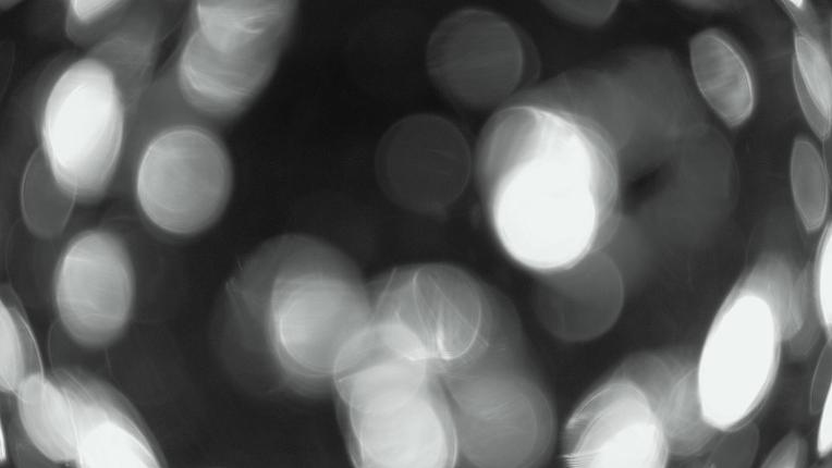 Webcam Whakapapa: Te heu heu valley