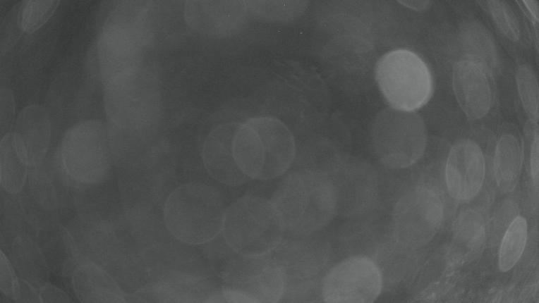 Webcam Whakapapa: Te heu heu valley