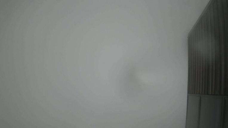 Webcam Whakapapa: The pinnacles