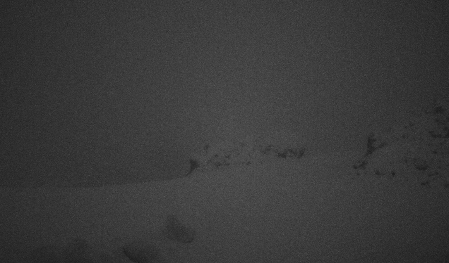 Webcam Whakapapa: The staircase slopes