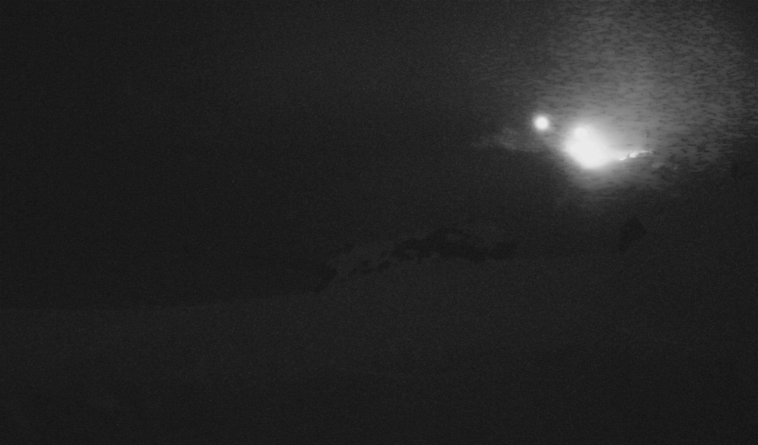 Webcam Whakapapa: The staircase slopes
