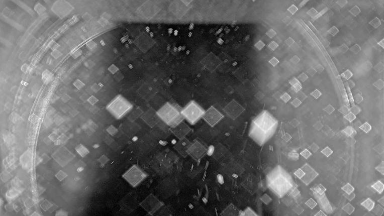 Webcam Whistler Blackcomb: 7th Heaven