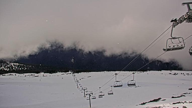 Webcam Whistler Blackcomb: 7th Heaven