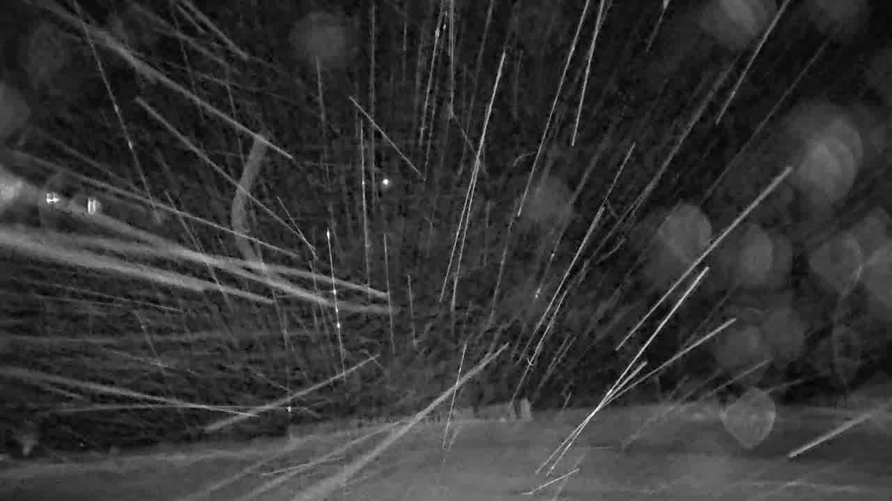 Webcam Whistler Blackcomb: Blackcomb Rendezvous Lodge