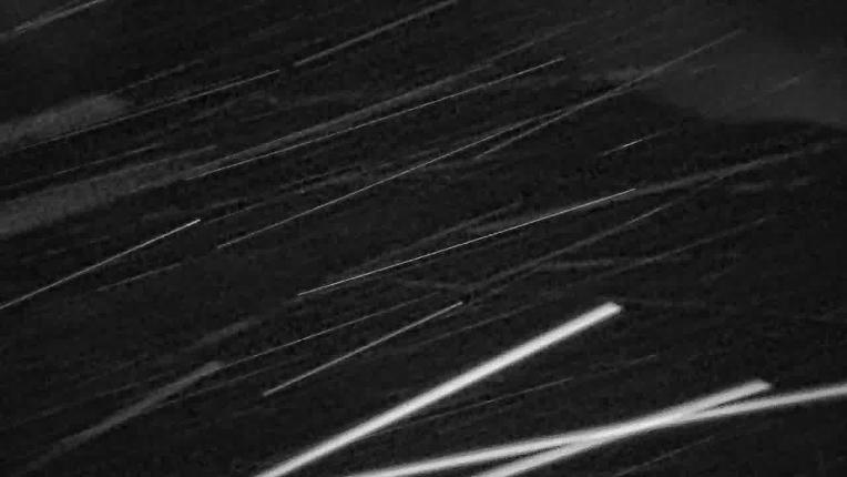 Webcam Whistler Blackcomb: Blackcomb Rendezvous Lodge