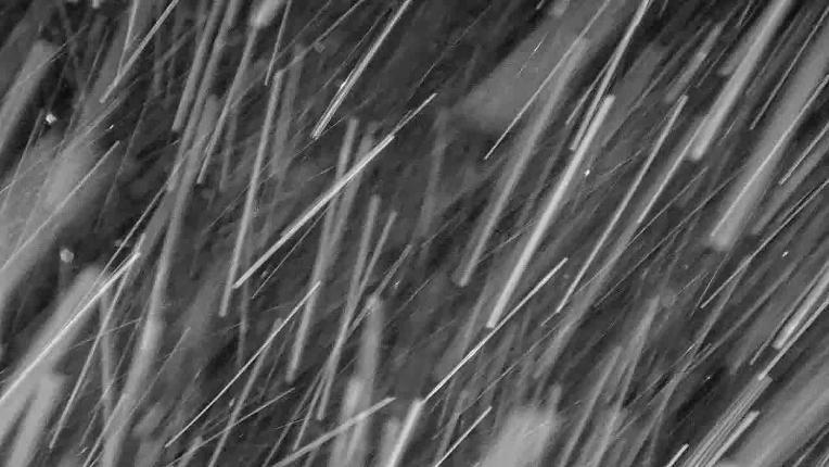 Webcam Whistler Blackcomb: Blackcomb Rendezvous Lodge