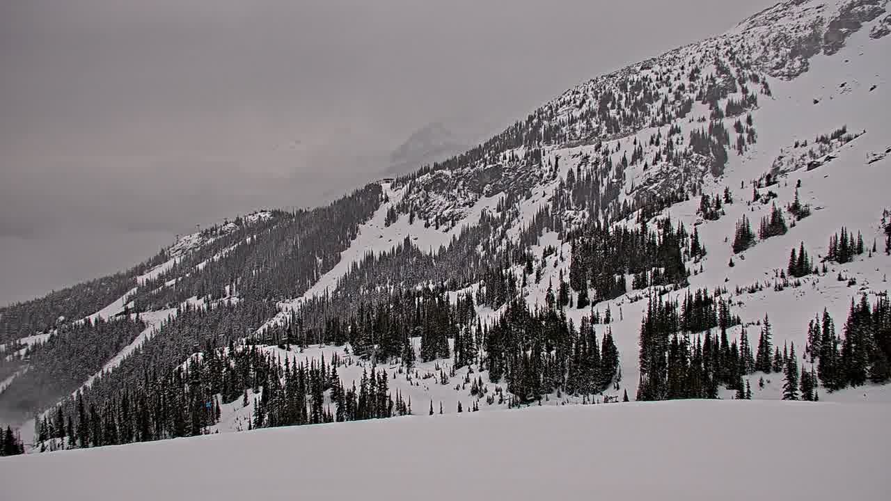 Webcam Whistler Blackcomb: Blackcomb Rendezvous Lodge