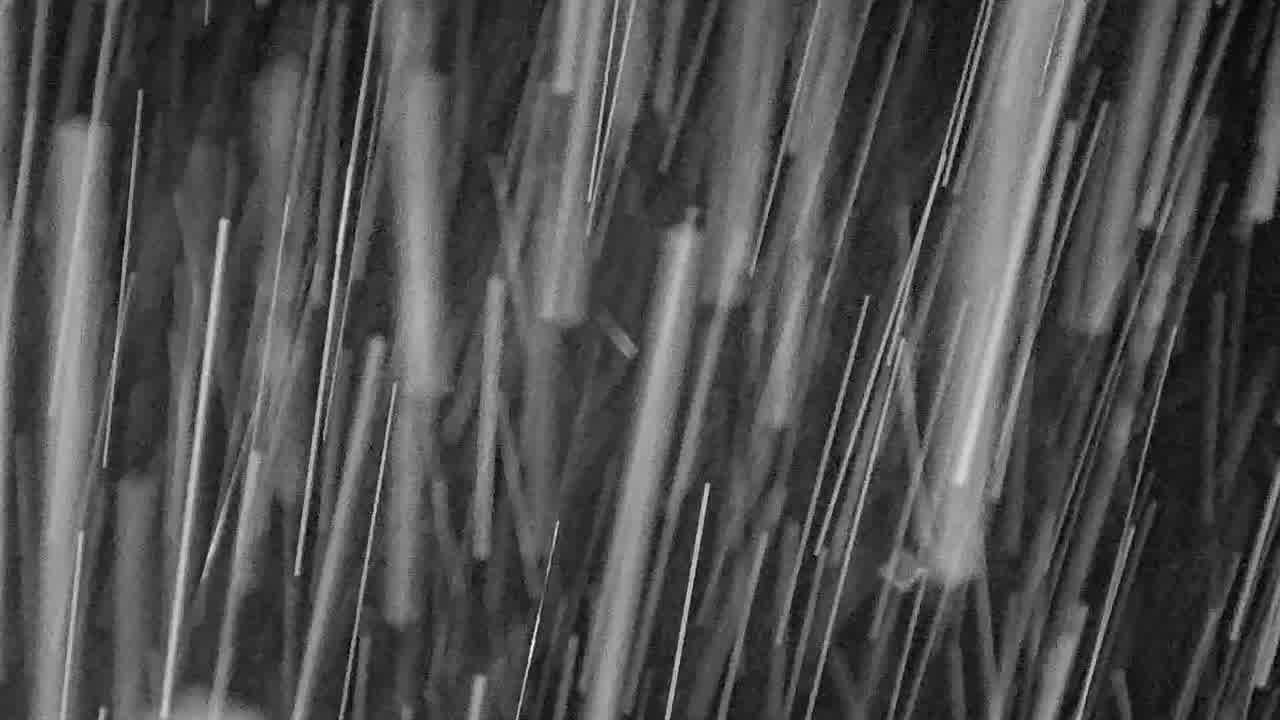 Webcam Whistler Blackcomb: Blackcomb Rendezvous Lodge