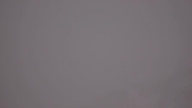 Webcam Whistler Blackcomb: Blackcomb Rendezvous Lodge