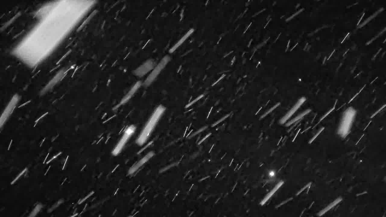 Webcam Whistler Blackcomb: Blackcomb Rendezvous Lodge