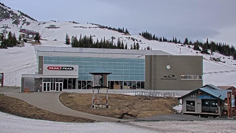 Webcam Whistler Blackcomb: Blackcomb Rendezvous Lodge