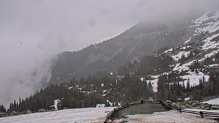 Webcam Whistler Blackcomb: Blackcomb Rendezvous Lodge