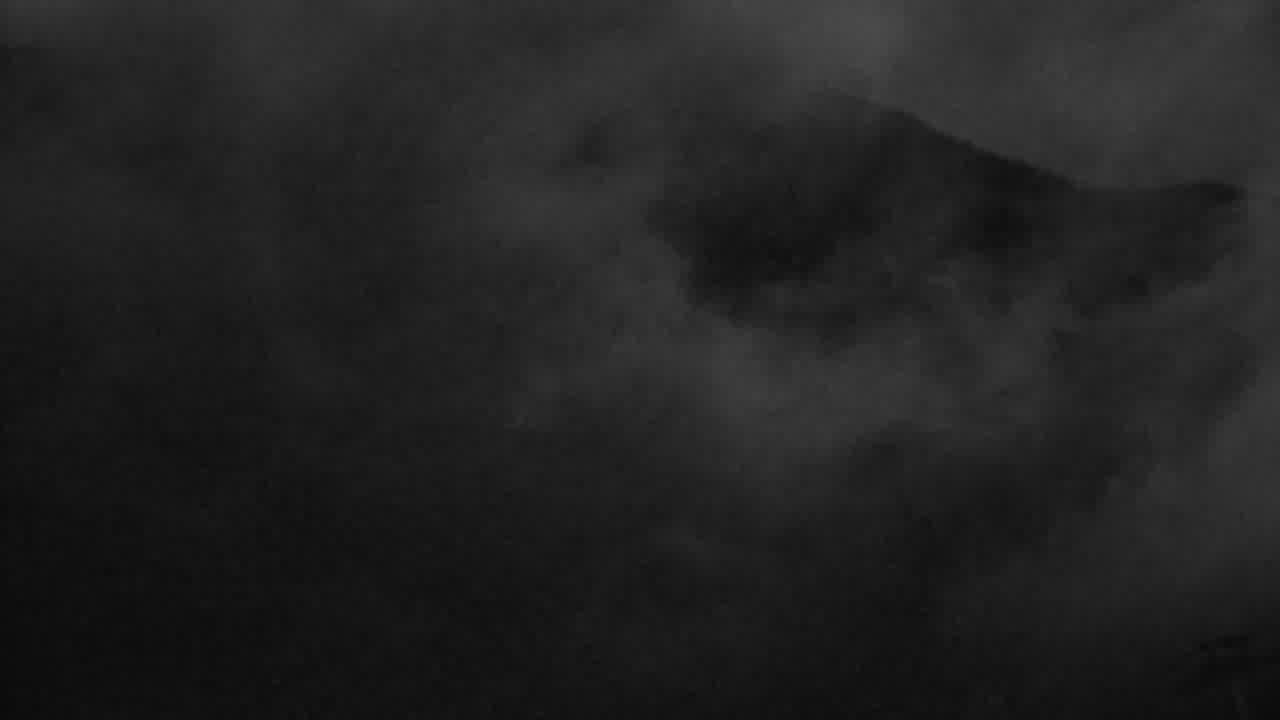 Webcam Whistler Blackcomb: Blackcomb Rendezvous Lodge