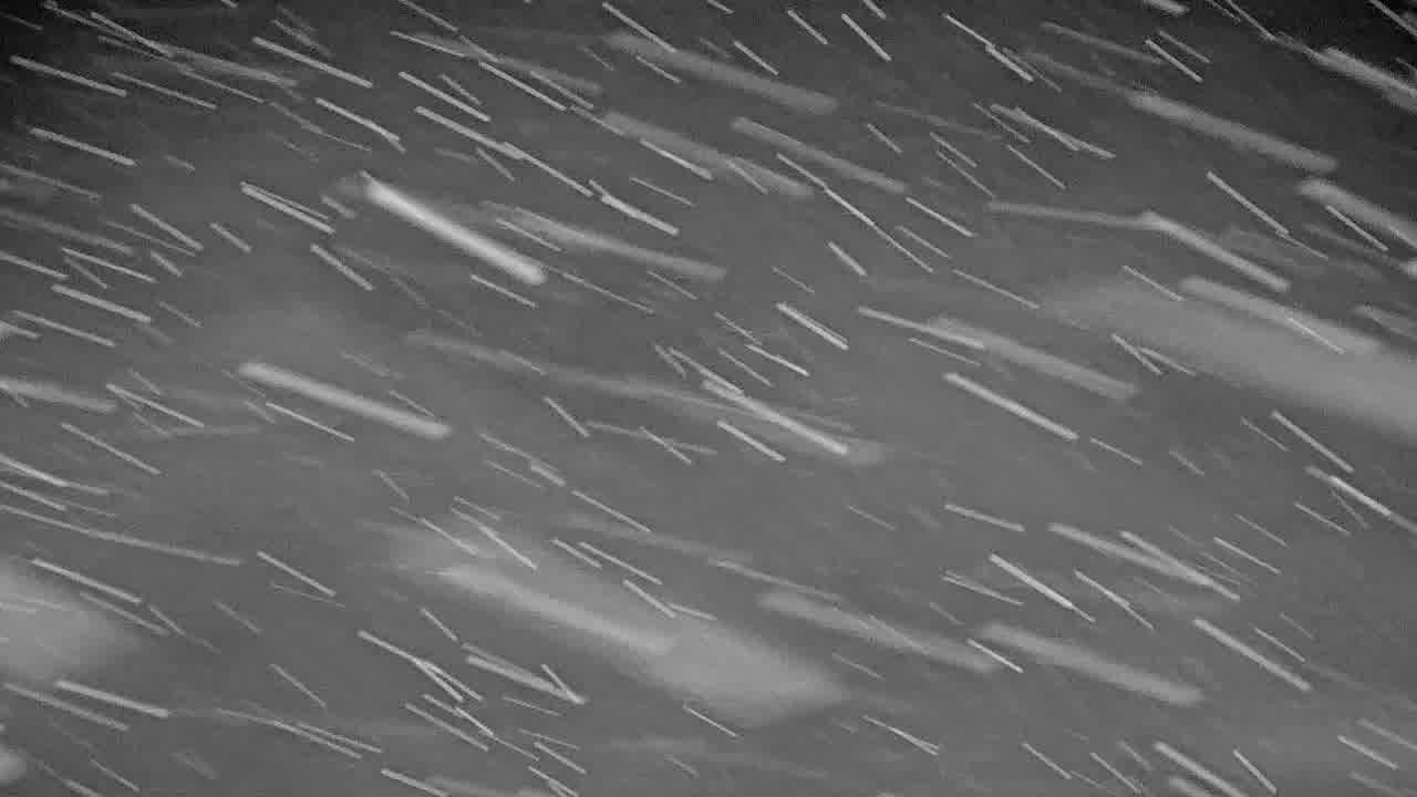 Webcam Whistler Blackcomb: Blackcomb Rendezvous Lodge