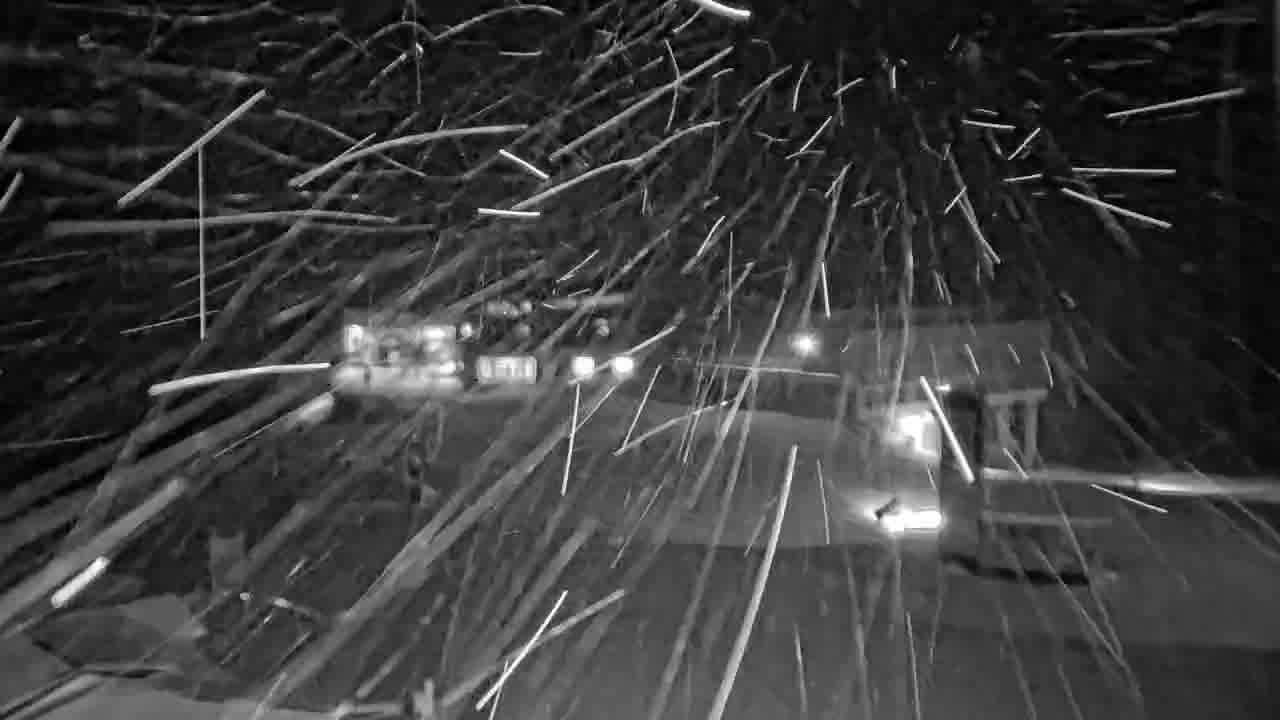 Webcam Whistler Blackcomb: Roundhouse