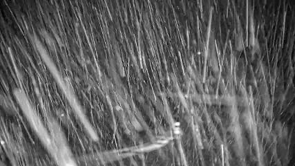 Whistler Blackcomb: Roundhouse (whistlerblackcomb.com)