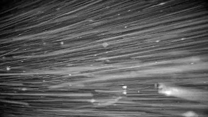 Whistler Blackcomb: Roundhouse (whistlerblackcomb.com)