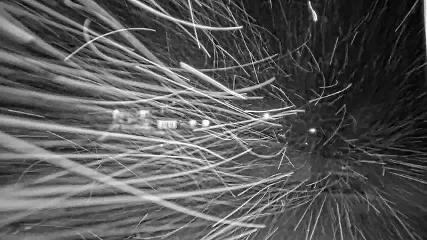 Whistler Blackcomb: Roundhouse (whistlerblackcomb.com)