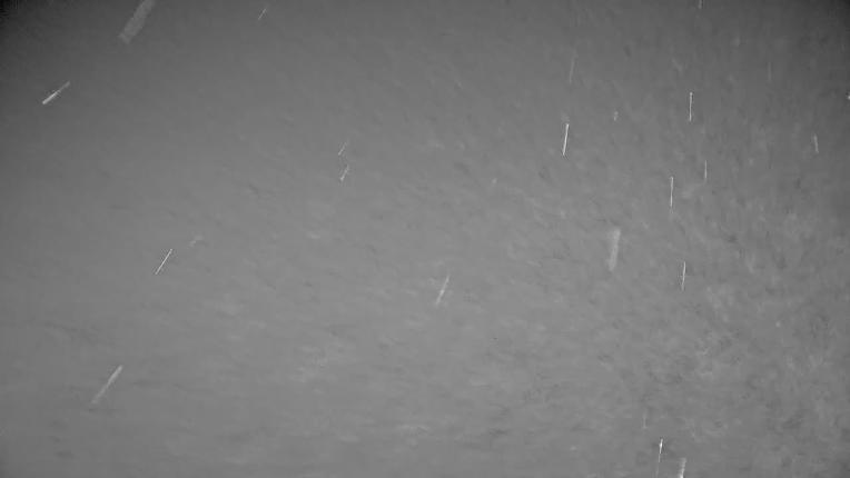 Webcam Whistler Blackcomb: Roundhouse