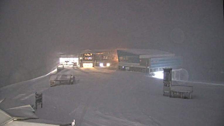 Webcam Whistler Blackcomb: Roundhouse