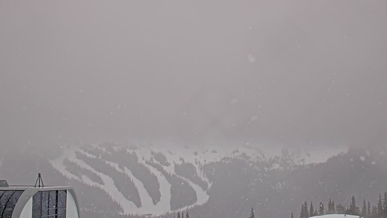 Webcam Whistler Blackcomb: Roundhouse