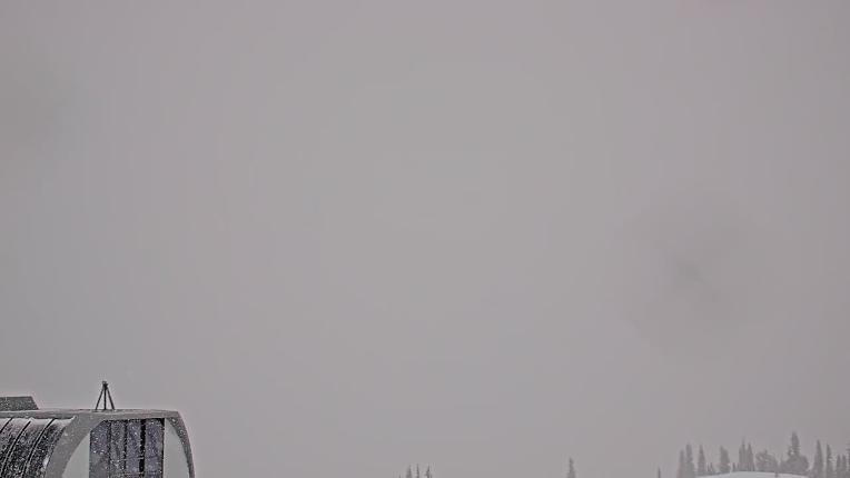 Webcam Whistler Blackcomb: Roundhouse