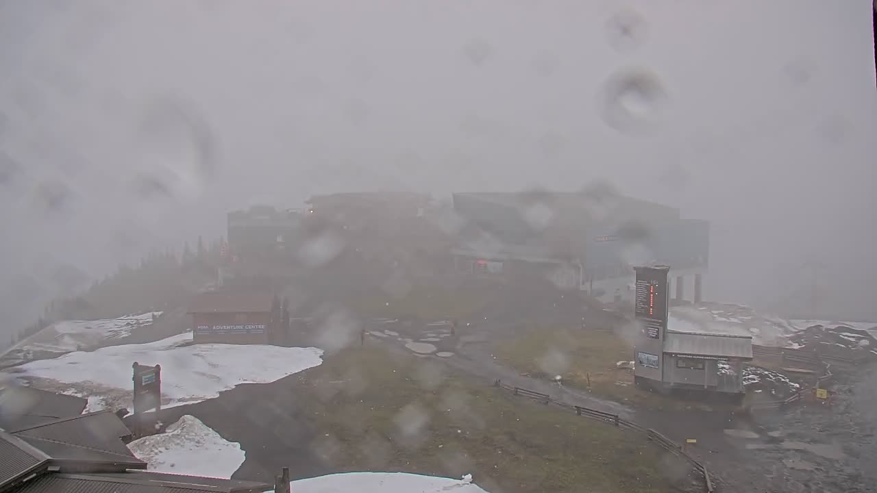 Webcam Whistler Blackcomb: Roundhouse